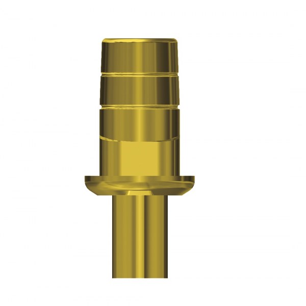 CONVERTITORE NON RUOTANTE NEW H0.5_BREDENT_GOLD copia3